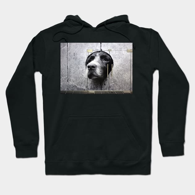 DOGS ARE NOT JUST FOR CHRISTMAS Hoodie by mister-john